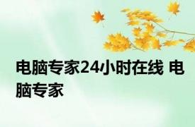 电脑专家24小时在线 电脑专家 