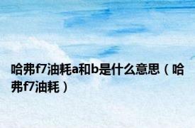 哈弗f7油耗a和b是什么意思（哈弗f7油耗）