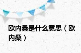 欧内桑是什么意思（欧内桑）