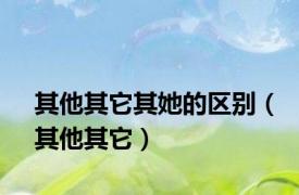 其他其它其她的区别（其他其它）