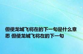 但使龙城飞将在的下一句是什么意思 但使龙城飞将在的下一句