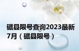 磁县限号查询2023最新7月（磁县限号）