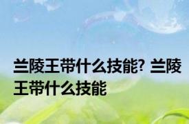 兰陵王带什么技能? 兰陵王带什么技能