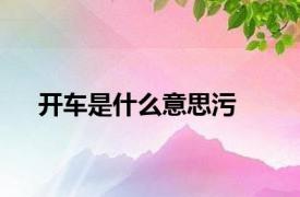 开车是什么意思污