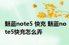 魅蓝note5 快充 魅蓝note5快充怎么弄