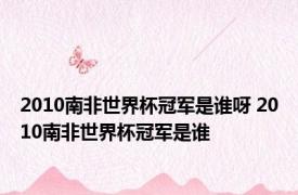 2010南非世界杯冠军是谁呀 2010南非世界杯冠军是谁