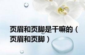 页眉和页脚是干嘛的（页眉和页脚）