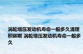 涡轮增压发动机寿命一般多久清理积碳呢 涡轮增压发动机寿命一般多久