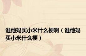 谁他妈买小米什么梗啊（谁他妈买小米什么梗）