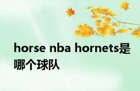 horse nba hornets是哪个球队