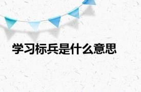 学习标兵是什么意思