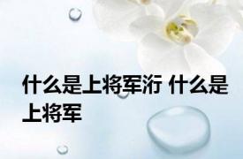 什么是上将军洐 什么是上将军