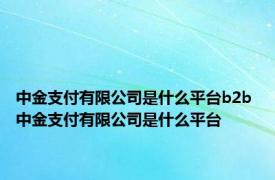 中金支付有限公司是什么平台b2b 中金支付有限公司是什么平台