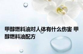 甲醇燃料油对人体有什么伤害 甲醇燃料油配方