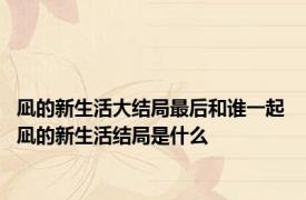凪的新生活大结局最后和谁一起 凪的新生活结局是什么