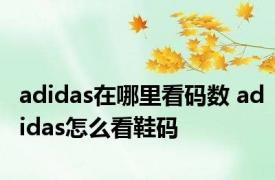 adidas在哪里看码数 adidas怎么看鞋码