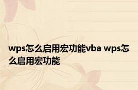 wps怎么启用宏功能vba wps怎么启用宏功能