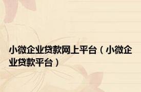 小微企业贷款网上平台（小微企业贷款平台）