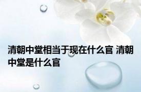 清朝中堂相当于现在什么官 清朝中堂是什么官