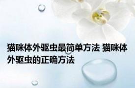 猫咪体外驱虫最简单方法 猫咪体外驱虫的正确方法