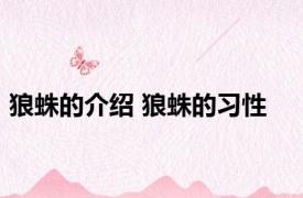 狼蛛的介绍 狼蛛的习性