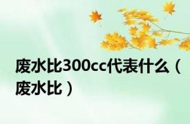 废水比300cc代表什么（废水比）