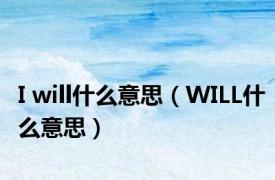 I will什么意思（WILL什么意思）
