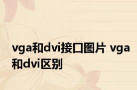 vga和dvi接口图片 vga和dvi区别