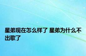 星弟现在怎么样了 星弟为什么不出歌了
