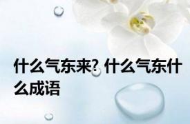 什么气东来? 什么气东什么成语
