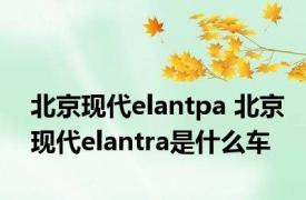 北京现代elantpa 北京现代elantra是什么车