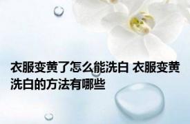 衣服变黄了怎么能洗白 衣服变黄洗白的方法有哪些
