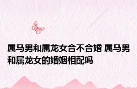 属马男和属龙女合不合婚 属马男和属龙女的婚姻相配吗