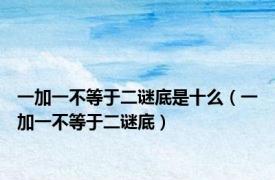 一加一不等于二谜底是十么（一加一不等于二谜底）