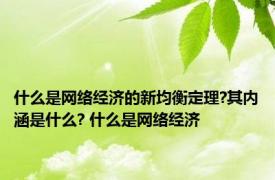 什么是网络经济的新均衡定理?其内涵是什么? 什么是网络经济
