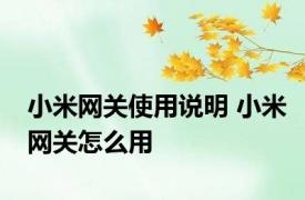 小米网关使用说明 小米网关怎么用