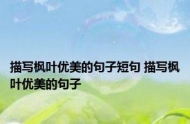描写枫叶优美的句子短句 描写枫叶优美的句子