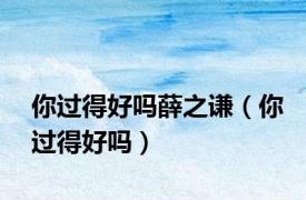 你过得好吗薛之谦（你过得好吗）