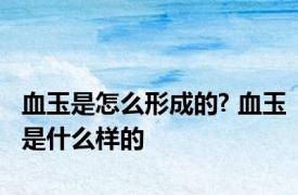 血玉是怎么形成的? 血玉是什么样的