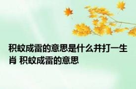 积蚊成雷的意思是什么并打一生肖 积蚊成雷的意思