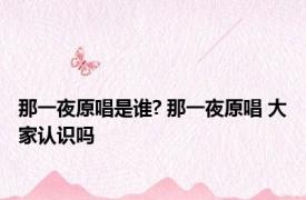 那一夜原唱是谁? 那一夜原唱 大家认识吗