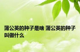 蒲公英的种子是啥 蒲公英的种子叫做什么