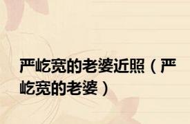 严屹宽的老婆近照（严屹宽的老婆）