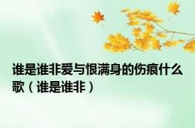 谁是谁非爱与恨满身的伤痕什么歌（谁是谁非）
