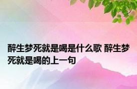 醉生梦死就是喝是什么歌 醉生梦死就是喝的上一句