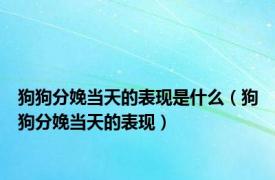 狗狗分娩当天的表现是什么（狗狗分娩当天的表现）