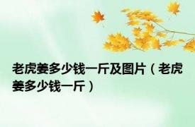 老虎姜多少钱一斤及图片（老虎姜多少钱一斤）