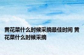 黄花菜什么时候采摘最佳时间 黄花菜什么时候采摘