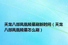 天龙八部凤凰陵墓刷新时间（天龙八部凤凰陵墓怎么刷）