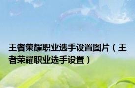 王者荣耀职业选手设置图片（王者荣耀职业选手设置）